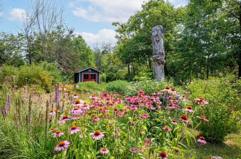 42-web-or-mls-3854-ISLAND-630-42