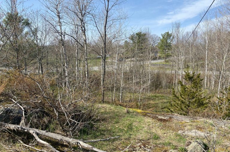 58-Lodge-Road-Pic-1