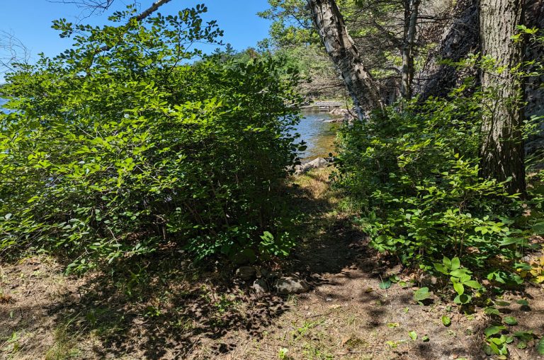 Path-between-cabins