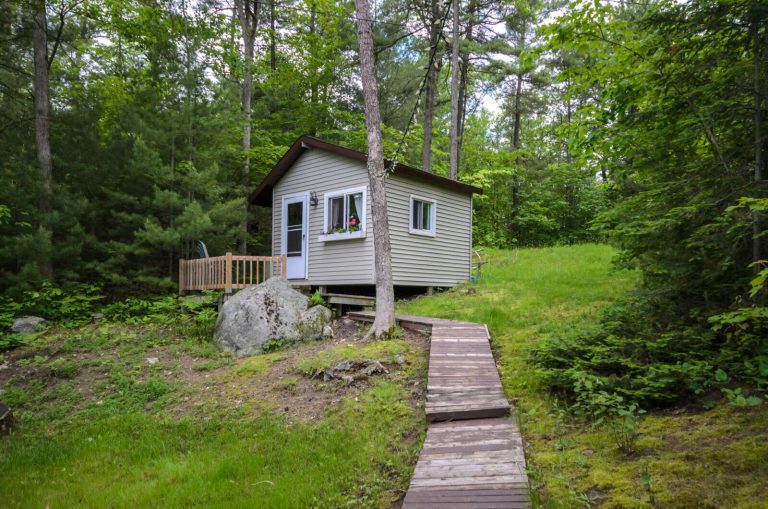 bunkie