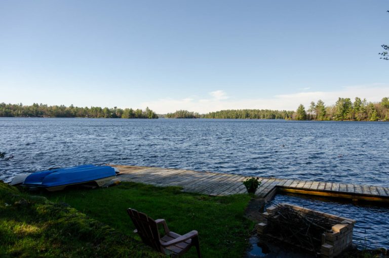 dock-view