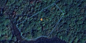 Aerial view of a forested lakeside property ideal for cottage retreats in Ontario.