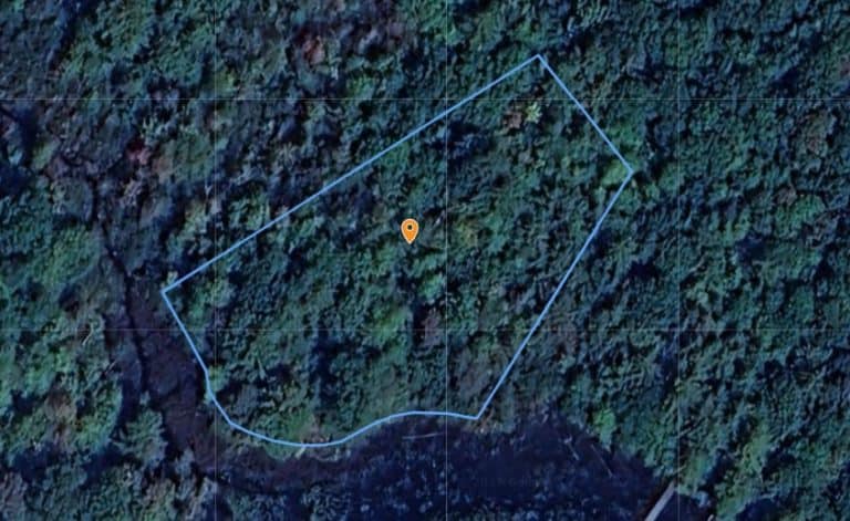 Aerial view of a dense forested land parcel outlined for privacy and potential development.