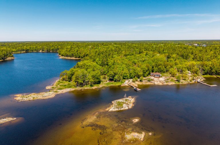 61-web-or-mls-6980 Bone Island-61